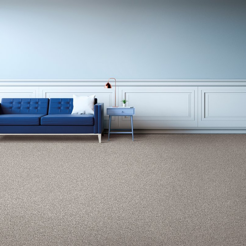 Xterior Plus providing easy stain-resistant pet friendly carpet Wytheville, VA - Luxuriant Space - Shorescape